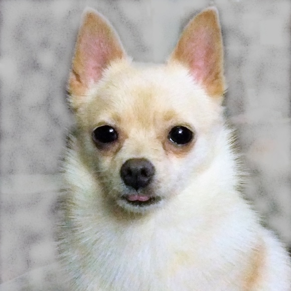 MORE TWIGGYGLAM COMING SOON!! - Picture 4 of 8